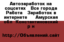 Автозаработок на соцсетях - Все города Работа » Заработок в интернете   . Амурская обл.,Константиновский р-н